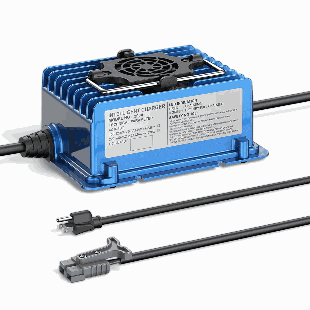 BS300A-2412 Industrial Battery Charger - Top View